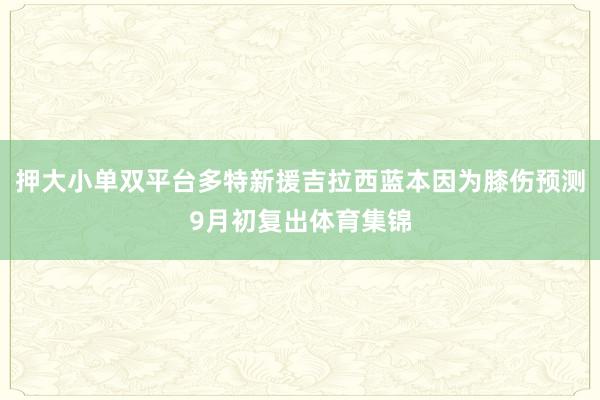 押大小单双平台多特新援吉拉西蓝本因为膝伤预测9月初复出体育集锦