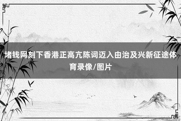 堵钱网刻下香港正高亢陈词迈入由治及兴新征途体育录像/图片