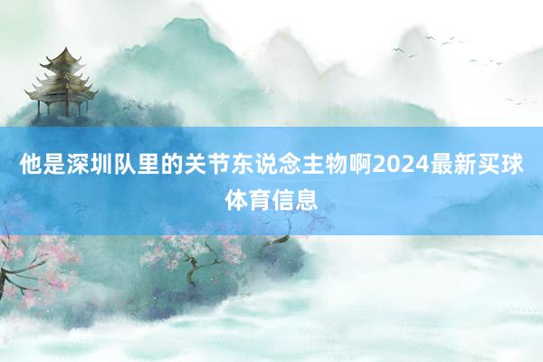 他是深圳队里的关节东说念主物啊2024最新买球体育信息