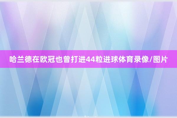 哈兰德在欧冠也曾打进44粒进球体育录像/图片